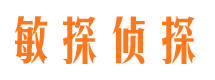 师宗寻人公司